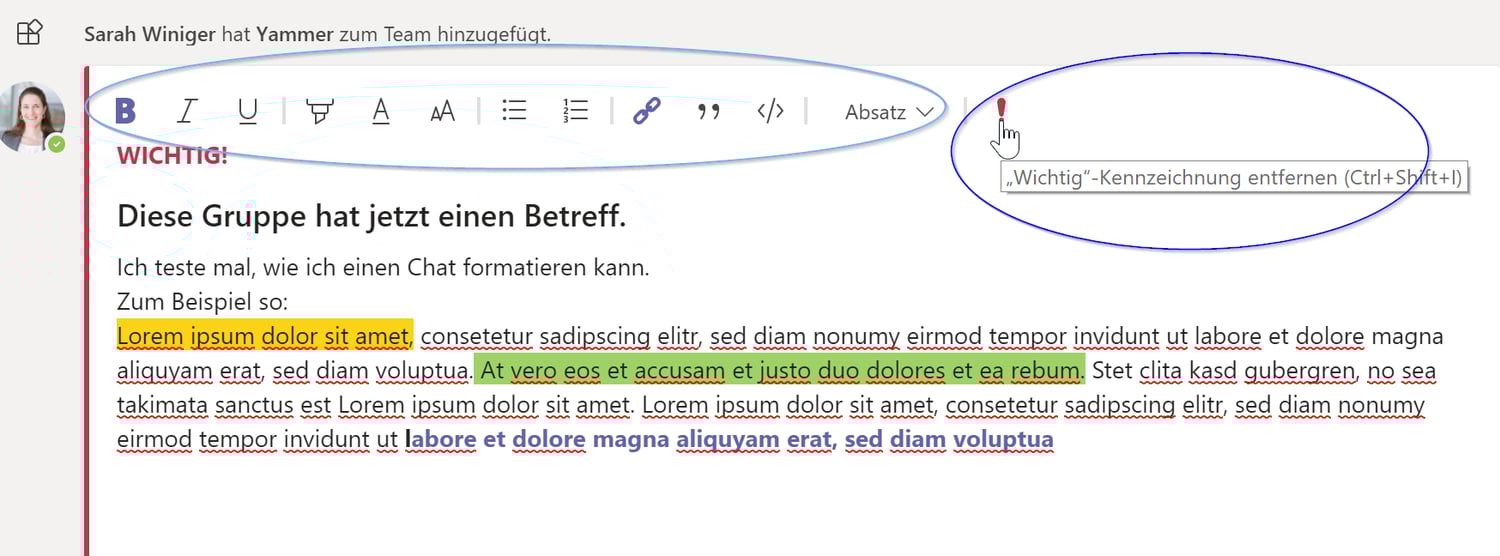 Screenshot zeigt Tools und Chat mit Lorem Ipsum Text und hebt Tools zum Formatieren von Text hervor