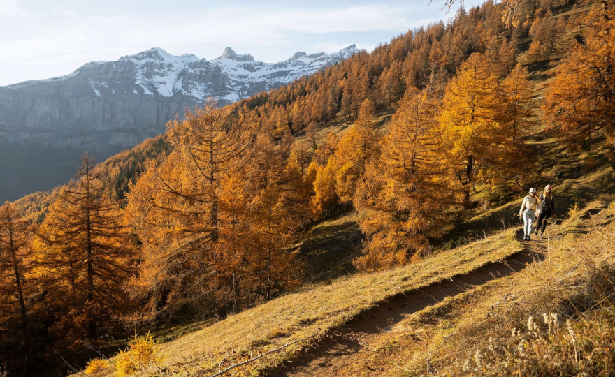 Verband Schweizer Wanderwege