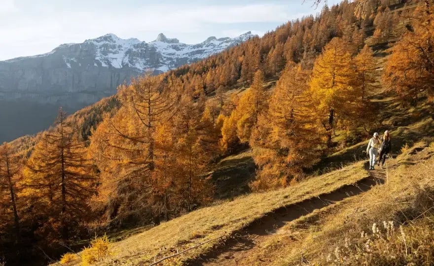 Verband Schweizer Wanderwege