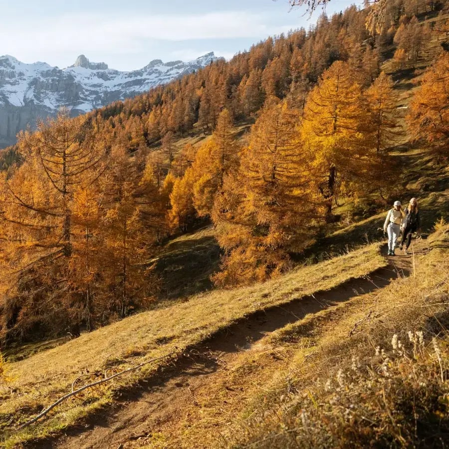 SmartIT-Referenz-Schweizer Wanderwege-Copilot-Header