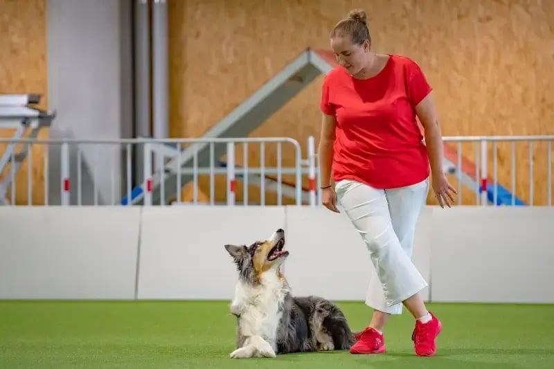 Bettina Heiniger mit Aramis beim Dogdance.